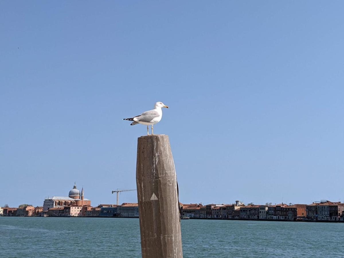 Red Tower Venice Apartment - 2 Mins From Vce Airport- Free Wifi Tessera Exterior foto